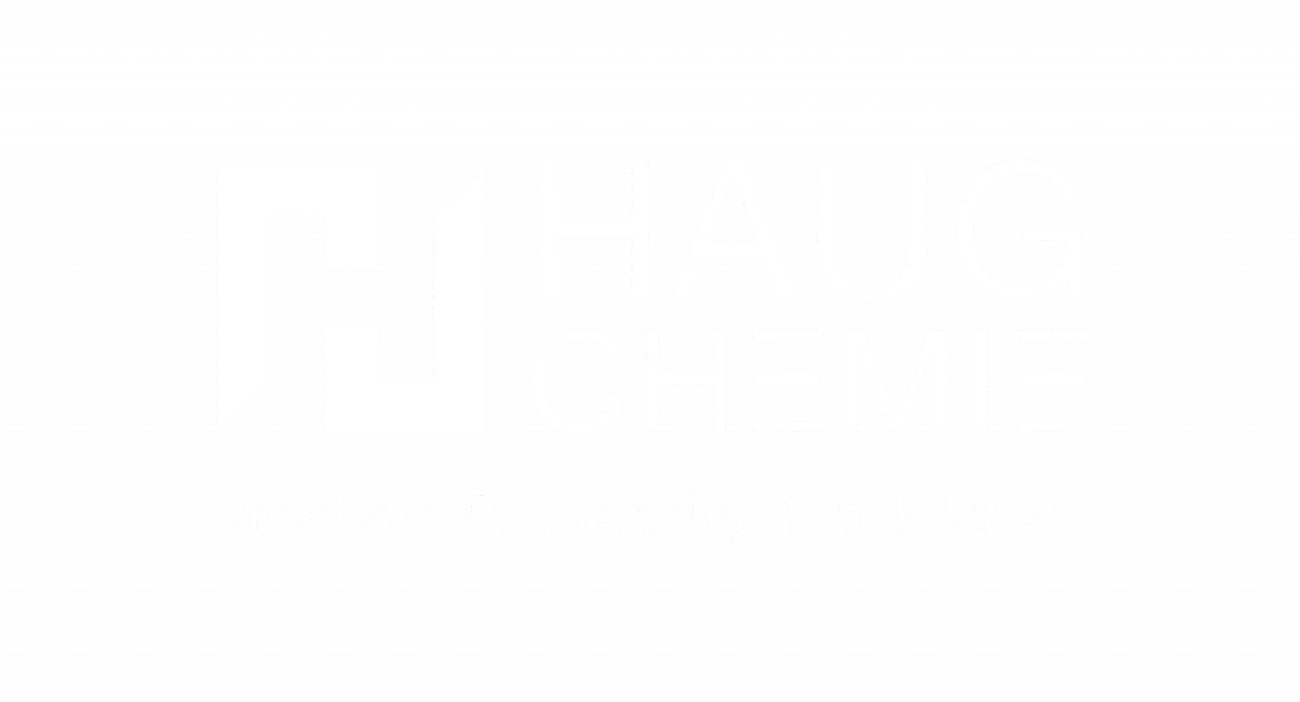 Zimmermann-Gruppe Marke mit Claim Haug Chemie 2021 D.epsZeichenflaeche 12 scaled
